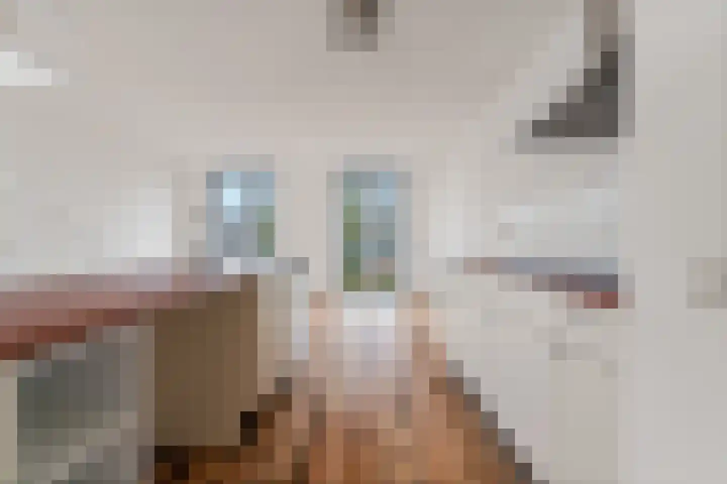 Vrouwe Udasingel 236 Lent thumbnail 20
