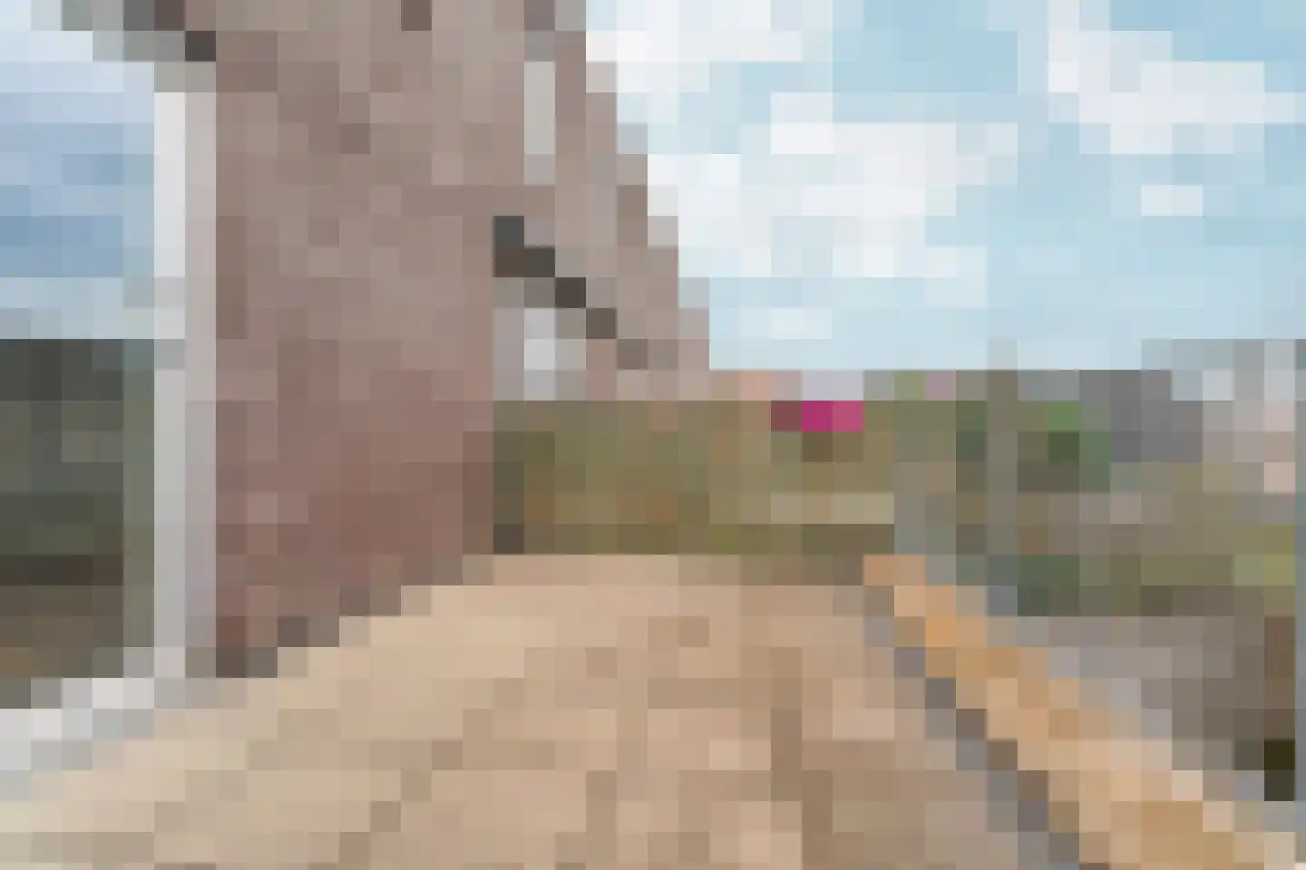 Vrouwe Udasingel 236 Lent thumbnail 28
