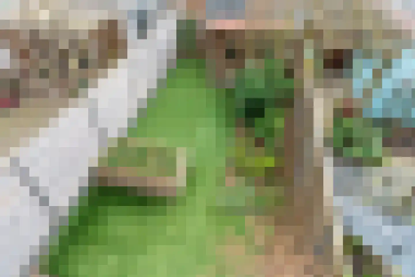 Vrouwe Udasingel 236 Lent thumbnail 31