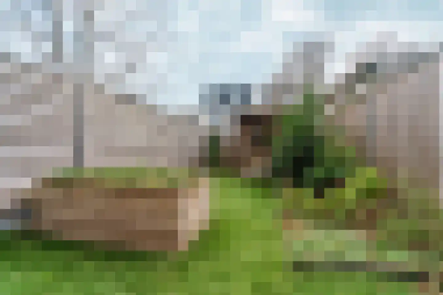 Vrouwe Udasingel 236 Lent thumbnail 46