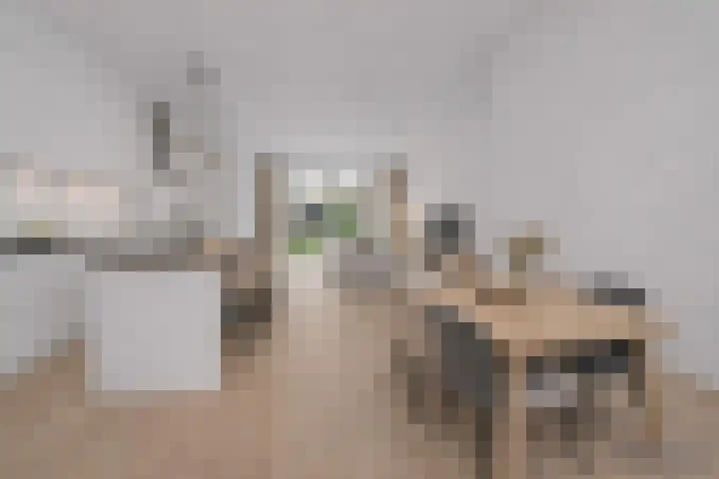 Vrouwe Udasingel 236 Lent thumbnail 9