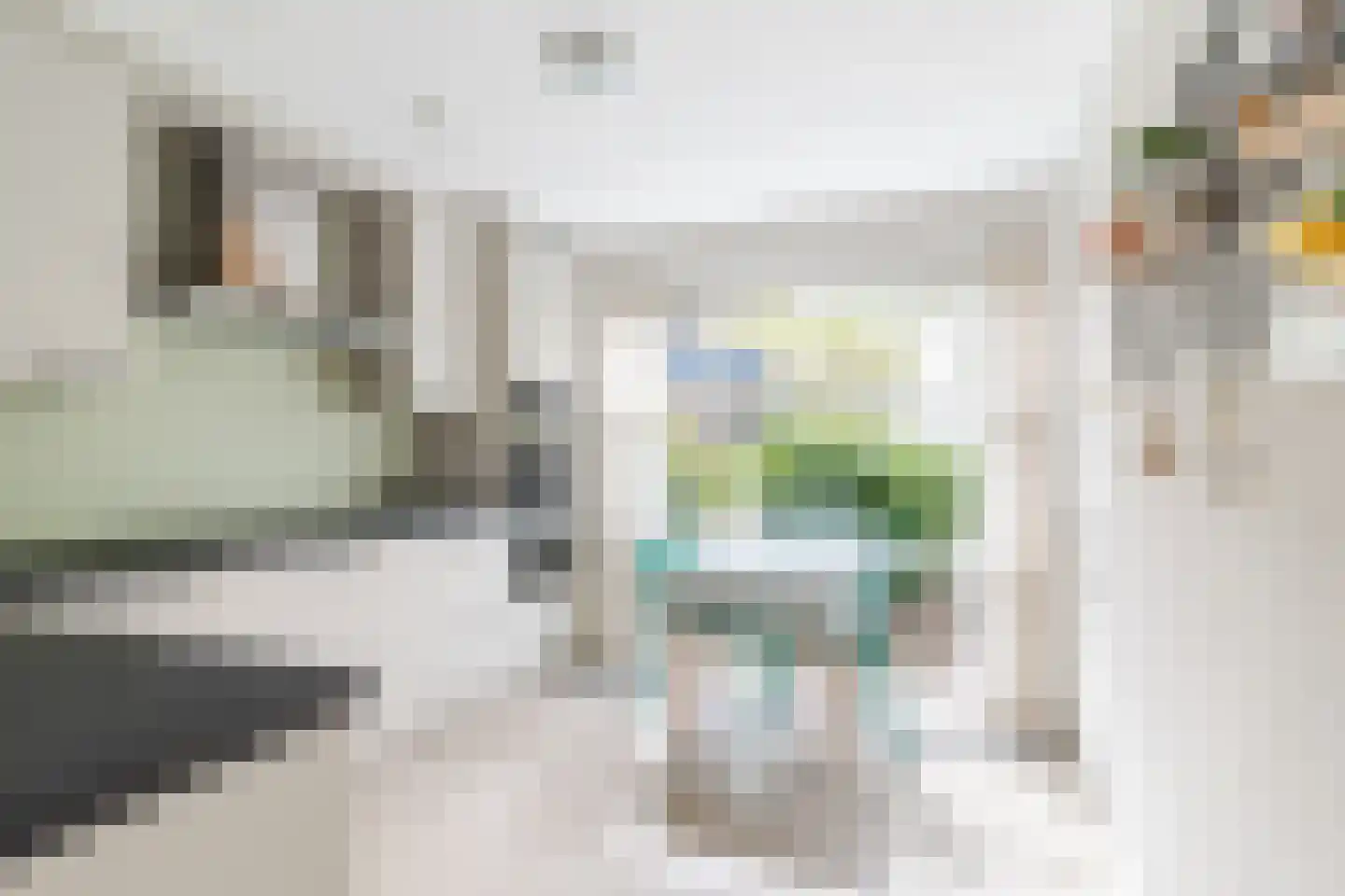 Vrouwe Van Loonstraat 19 Maasdijk thumbnail 11
