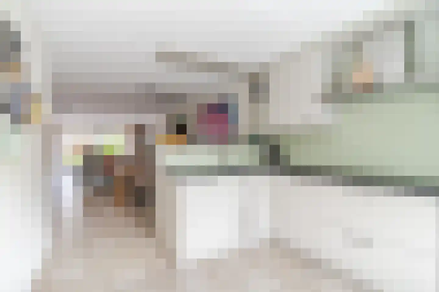 Vrouwe Van Loonstraat 19 Maasdijk thumbnail 13