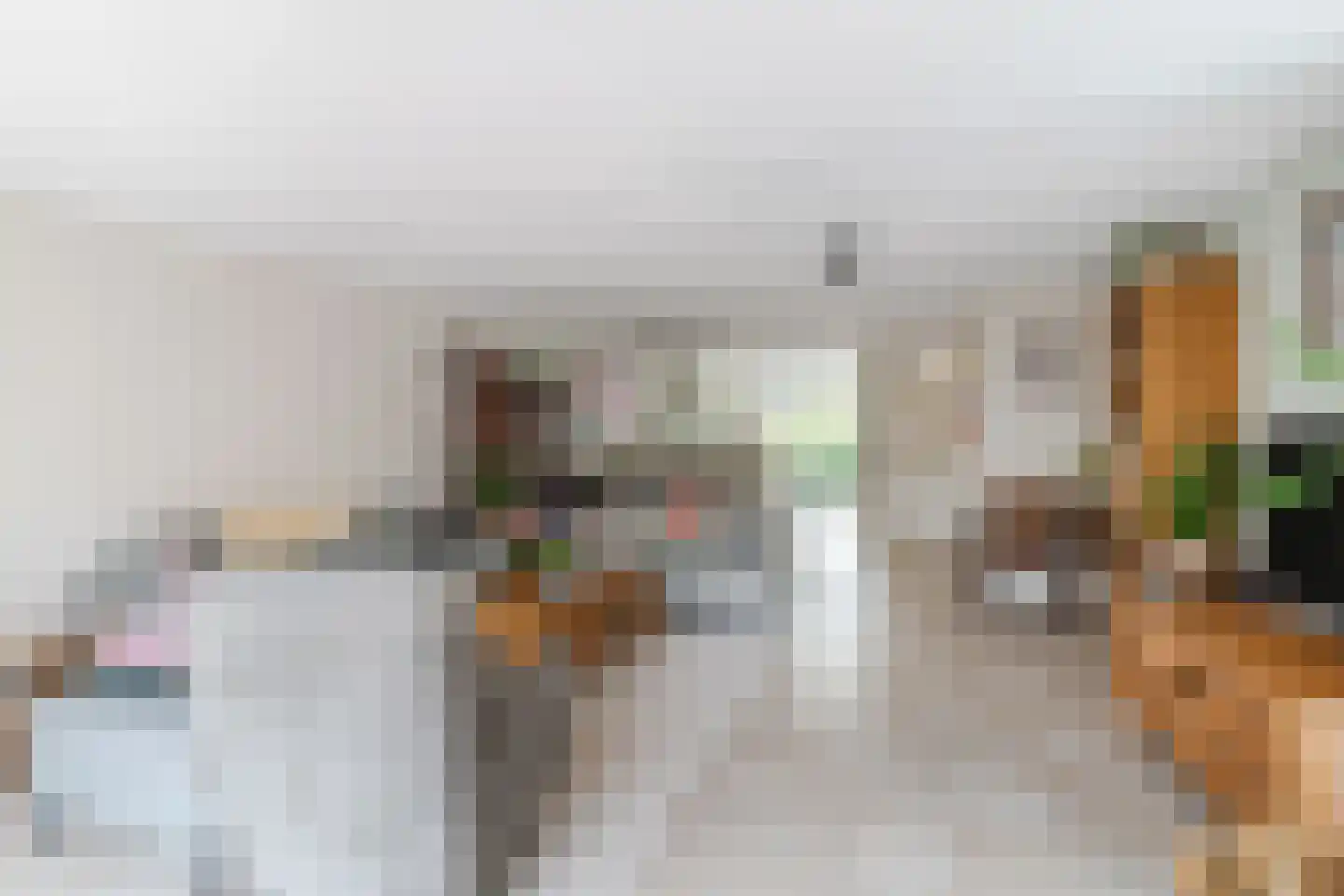 Vrouwe Van Loonstraat 19 Maasdijk thumbnail 16