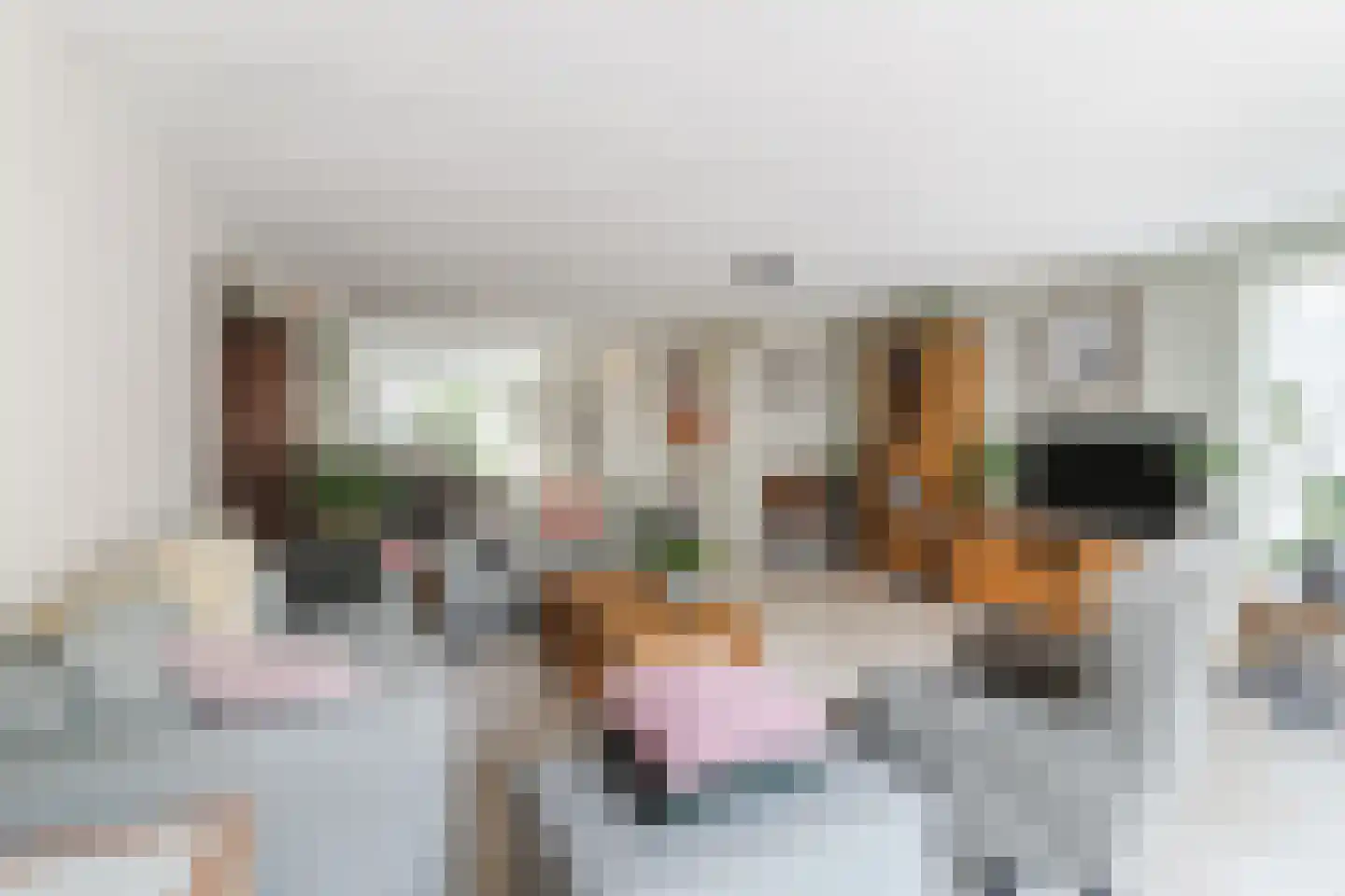 Vrouwe Van Loonstraat 19 Maasdijk thumbnail 18