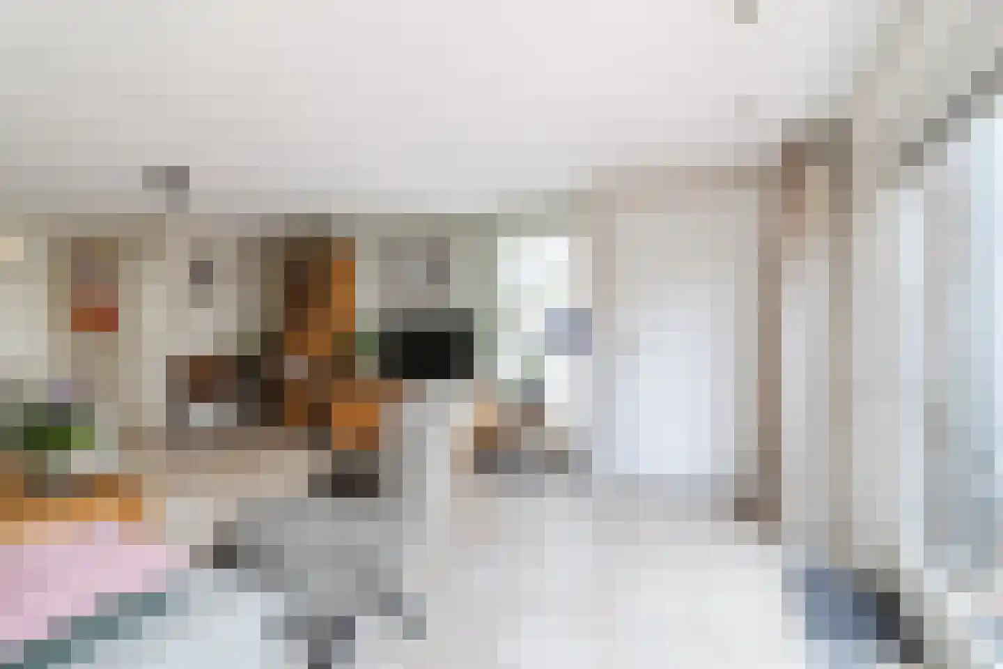 Vrouwe Van Loonstraat 19 Maasdijk thumbnail 19