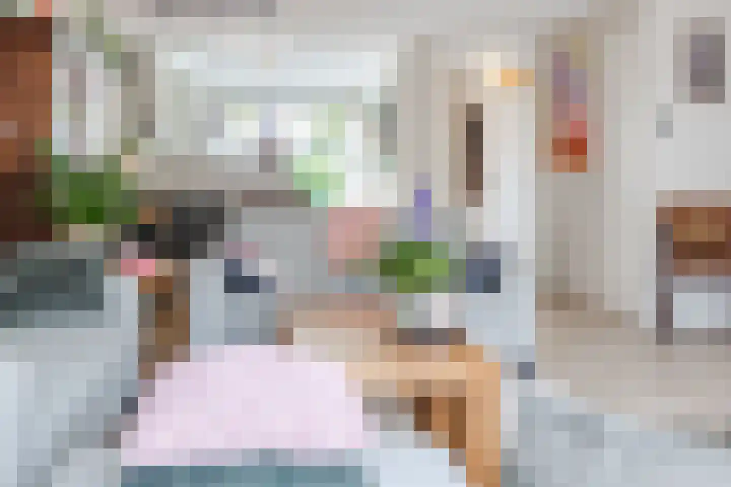 Vrouwe Van Loonstraat 19 Maasdijk thumbnail 20