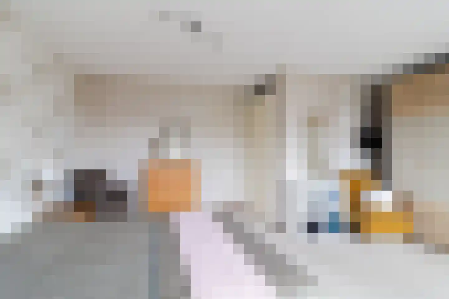 Vrouwe Van Loonstraat 19 Maasdijk thumbnail 29