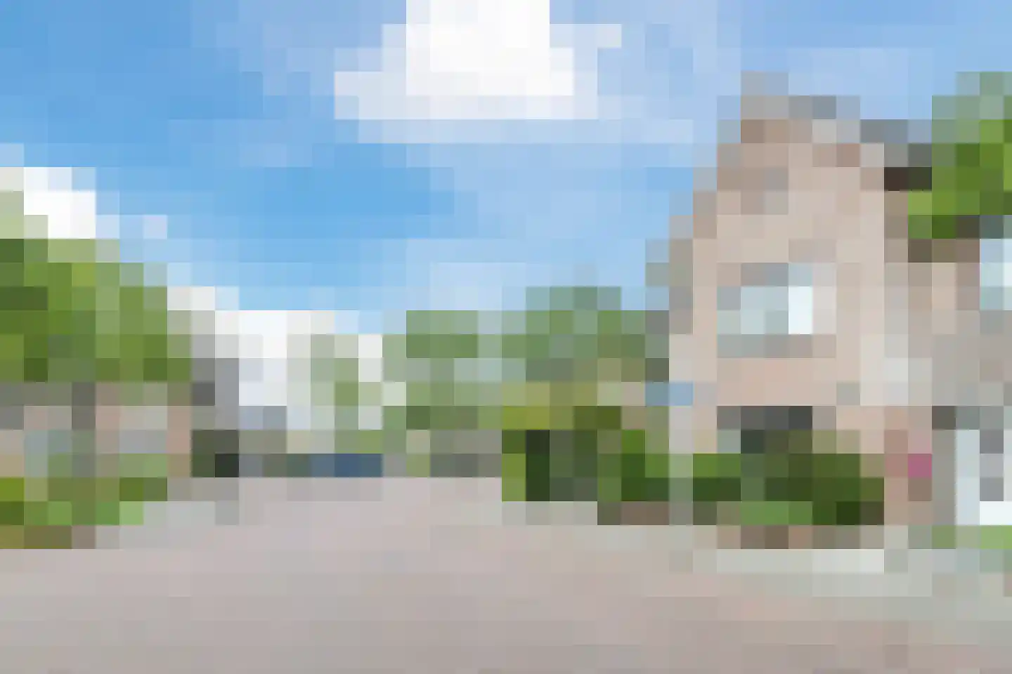 Vrouwe Van Loonstraat 19 Maasdijk foto 3