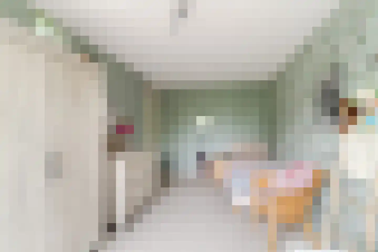 Vrouwe Van Loonstraat 19 Maasdijk thumbnail 31