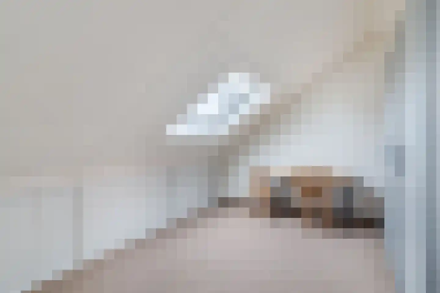 Vrouwe Van Loonstraat 19 Maasdijk thumbnail 38