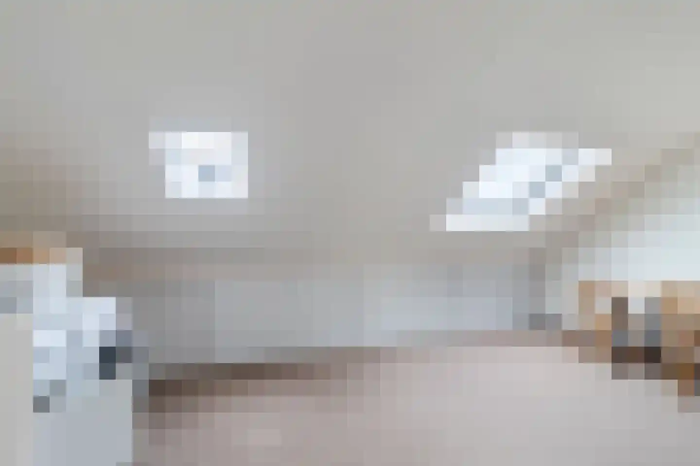 Vrouwe Van Loonstraat 19 Maasdijk thumbnail 40