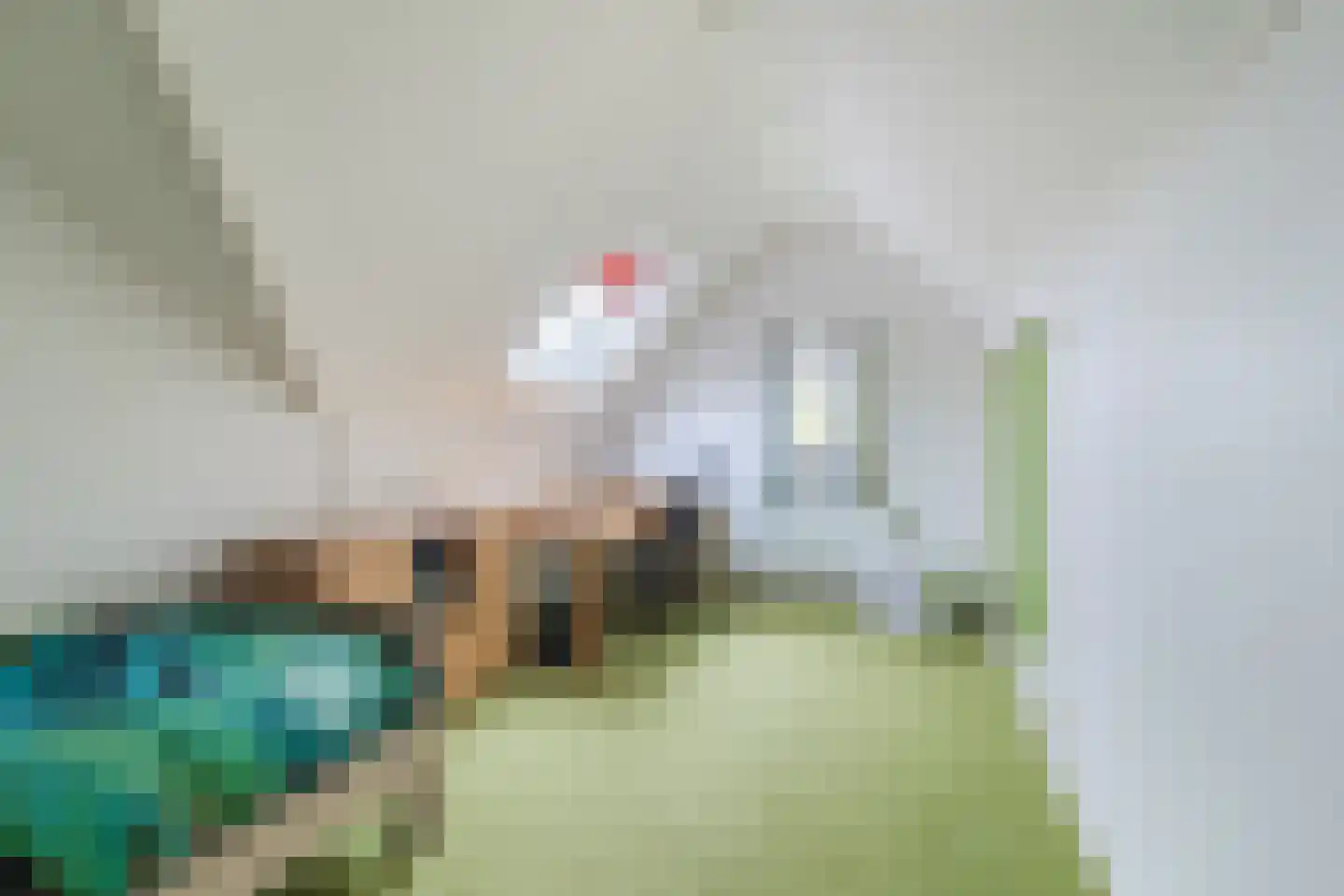 Vrouwe Van Loonstraat 19 Maasdijk thumbnail 41