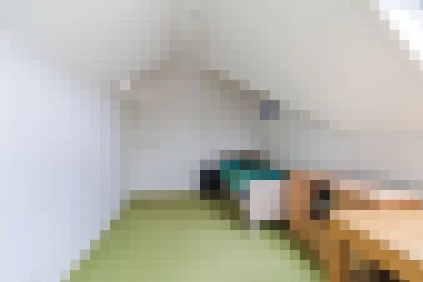 Vrouwe Van Loonstraat 19 Maasdijk thumbnail 42