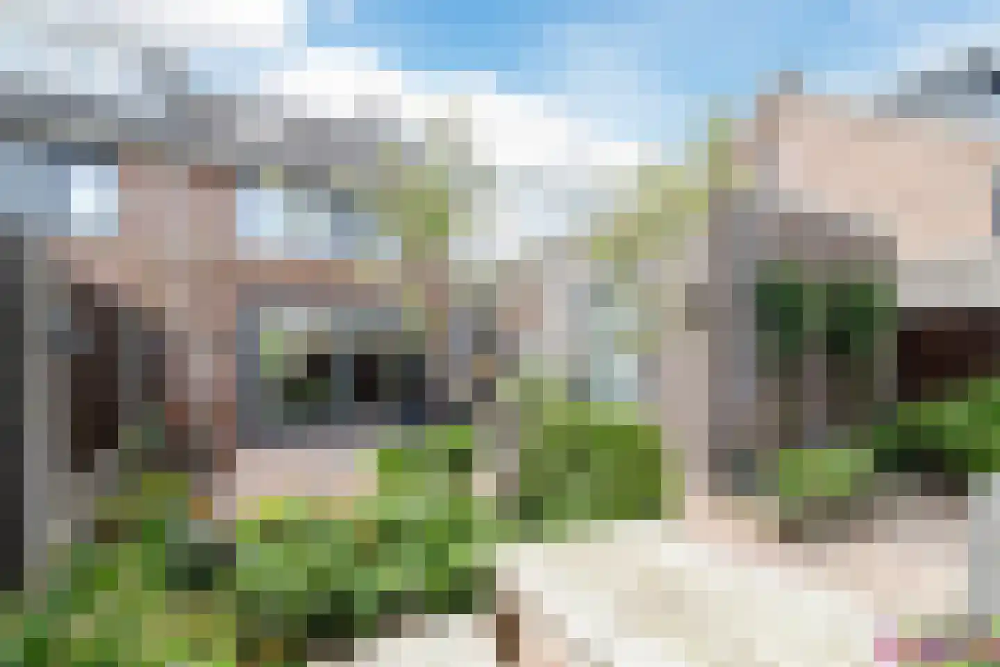 Vrouwe Van Loonstraat 19 Maasdijk thumbnail 48