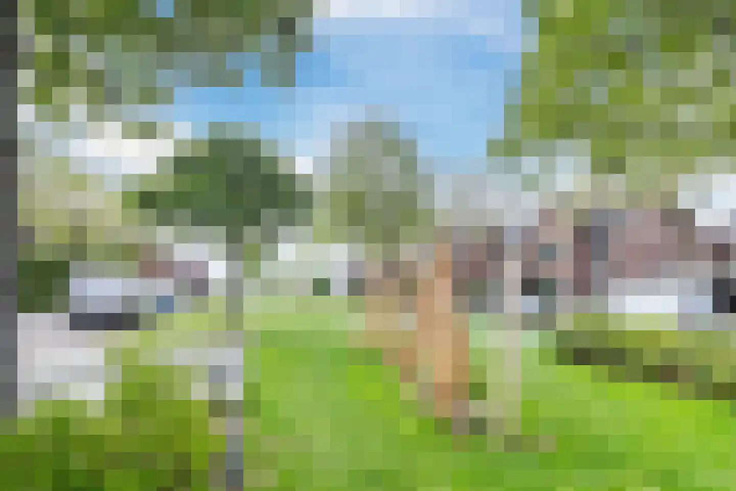 Vrouwe Van Loonstraat 19 Maasdijk thumbnail 52