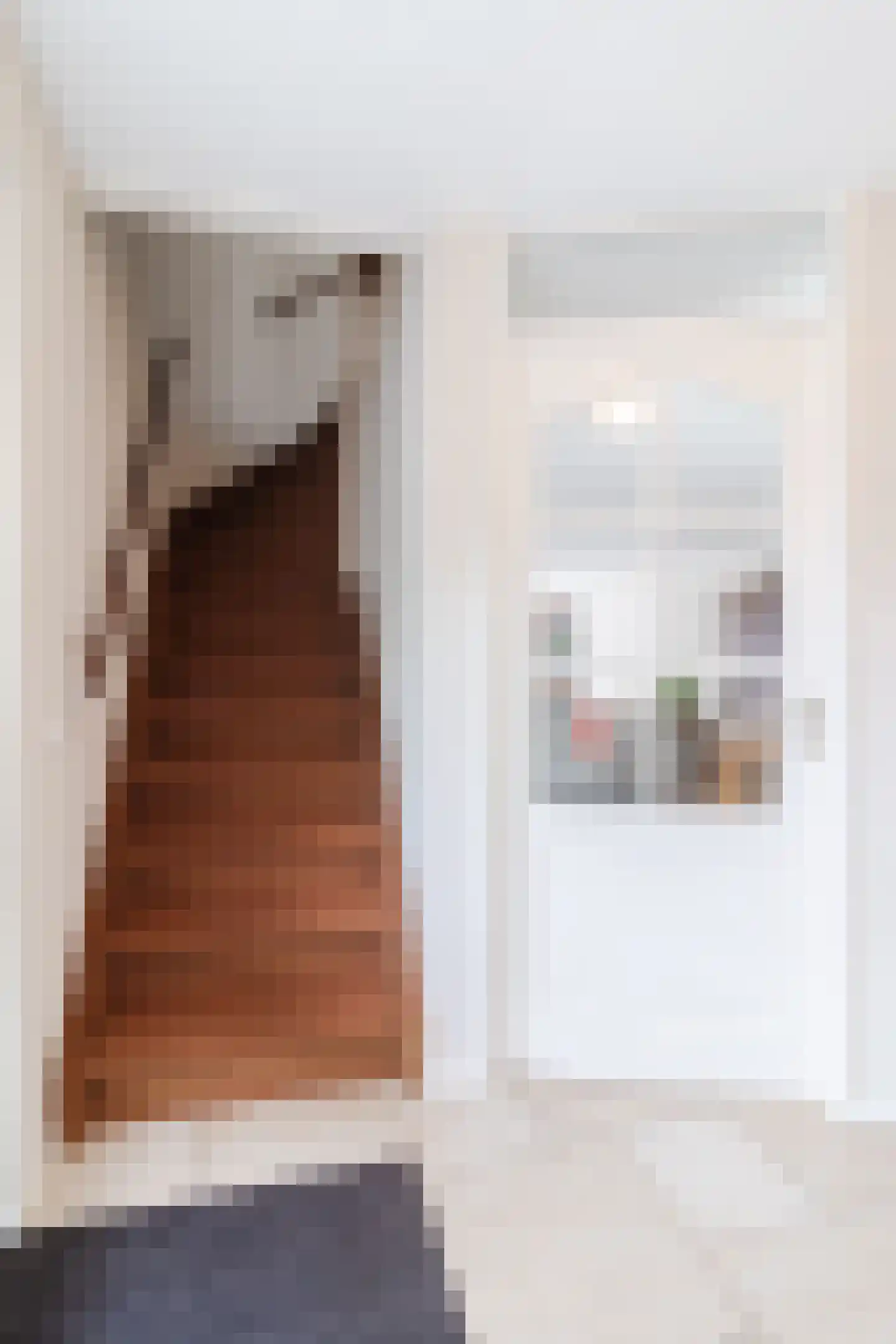 Vrouwe Van Loonstraat 19 Maasdijk thumbnail 8