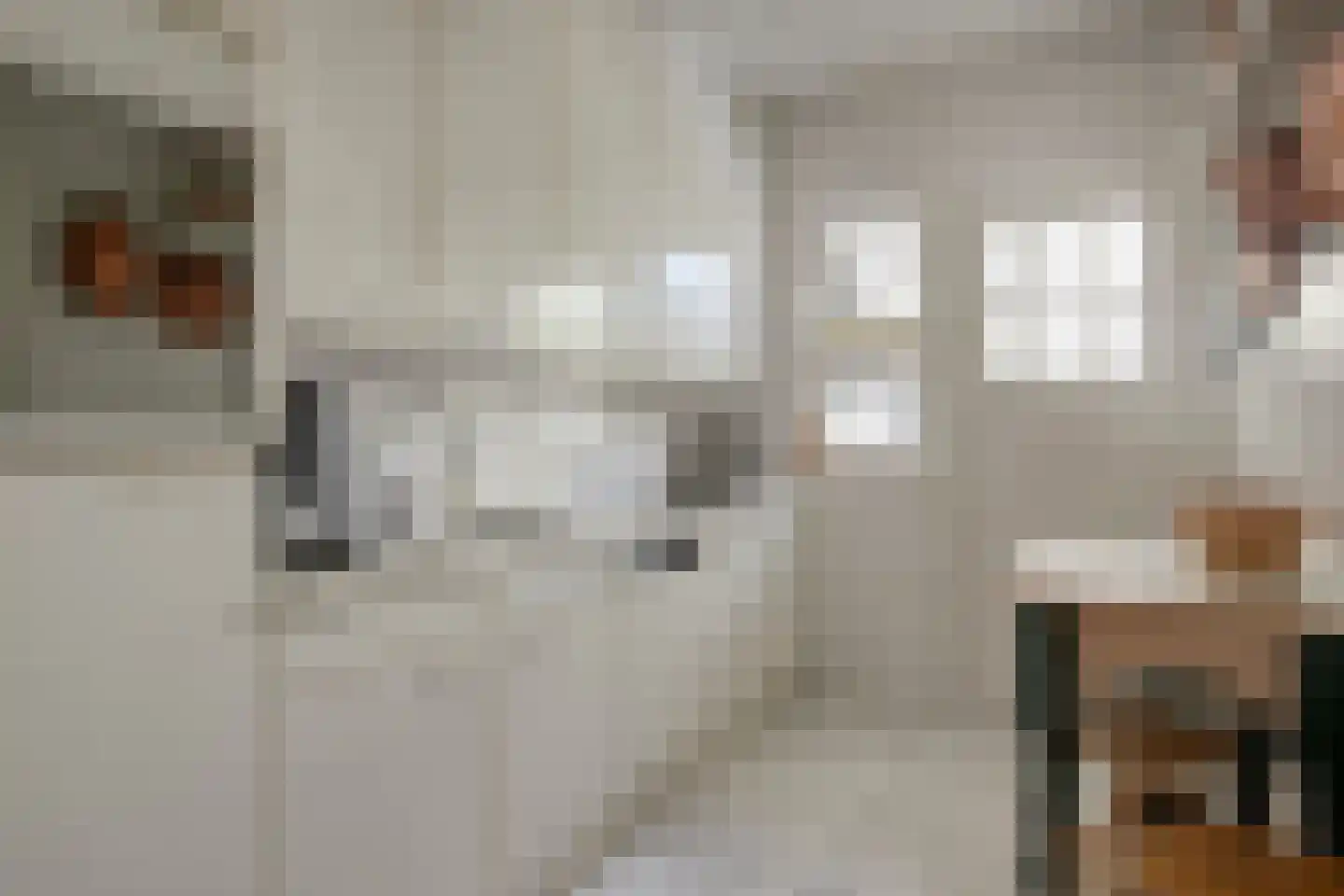 Vrouwemadestraat 20 Roosendaal thumbnail 16