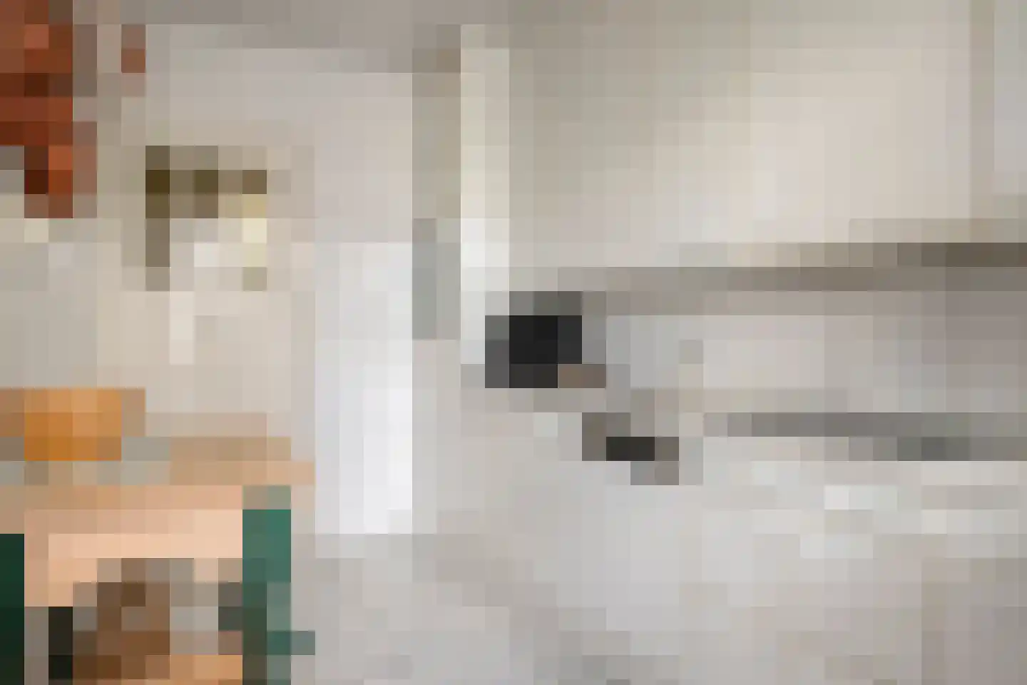 Vrouwemadestraat 20 Roosendaal thumbnail 17