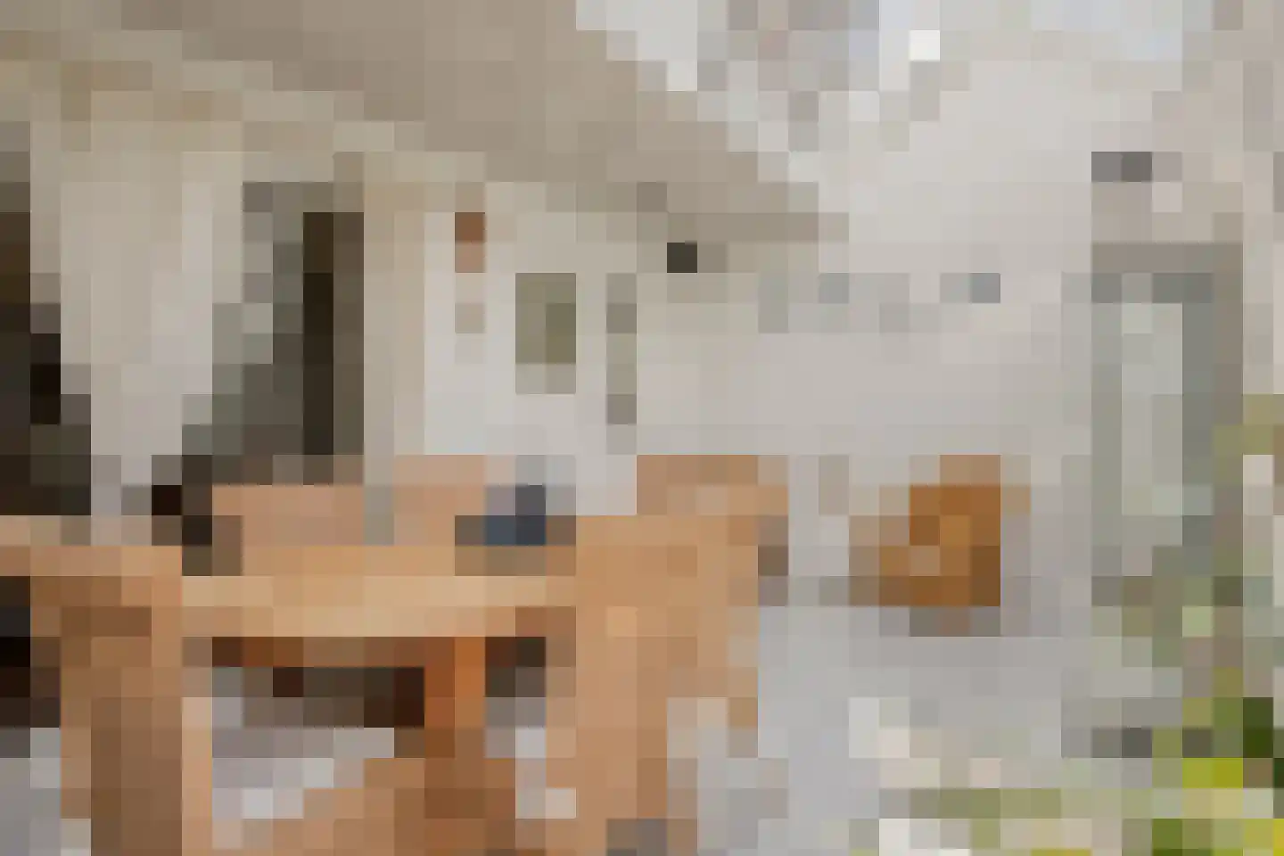 Vrouwemadestraat 20 Roosendaal thumbnail 19