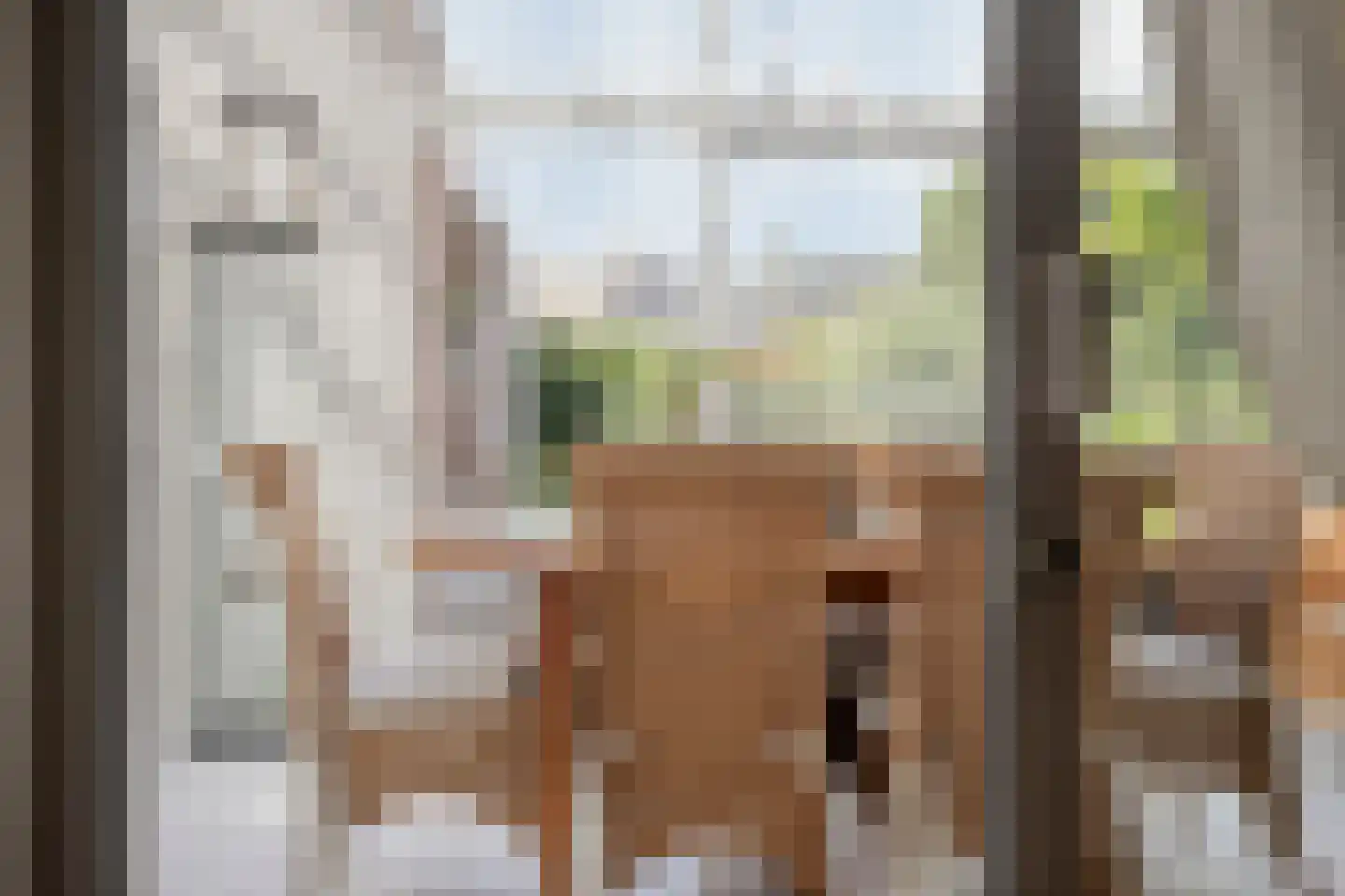 Vrouwemadestraat 20 Roosendaal thumbnail 20