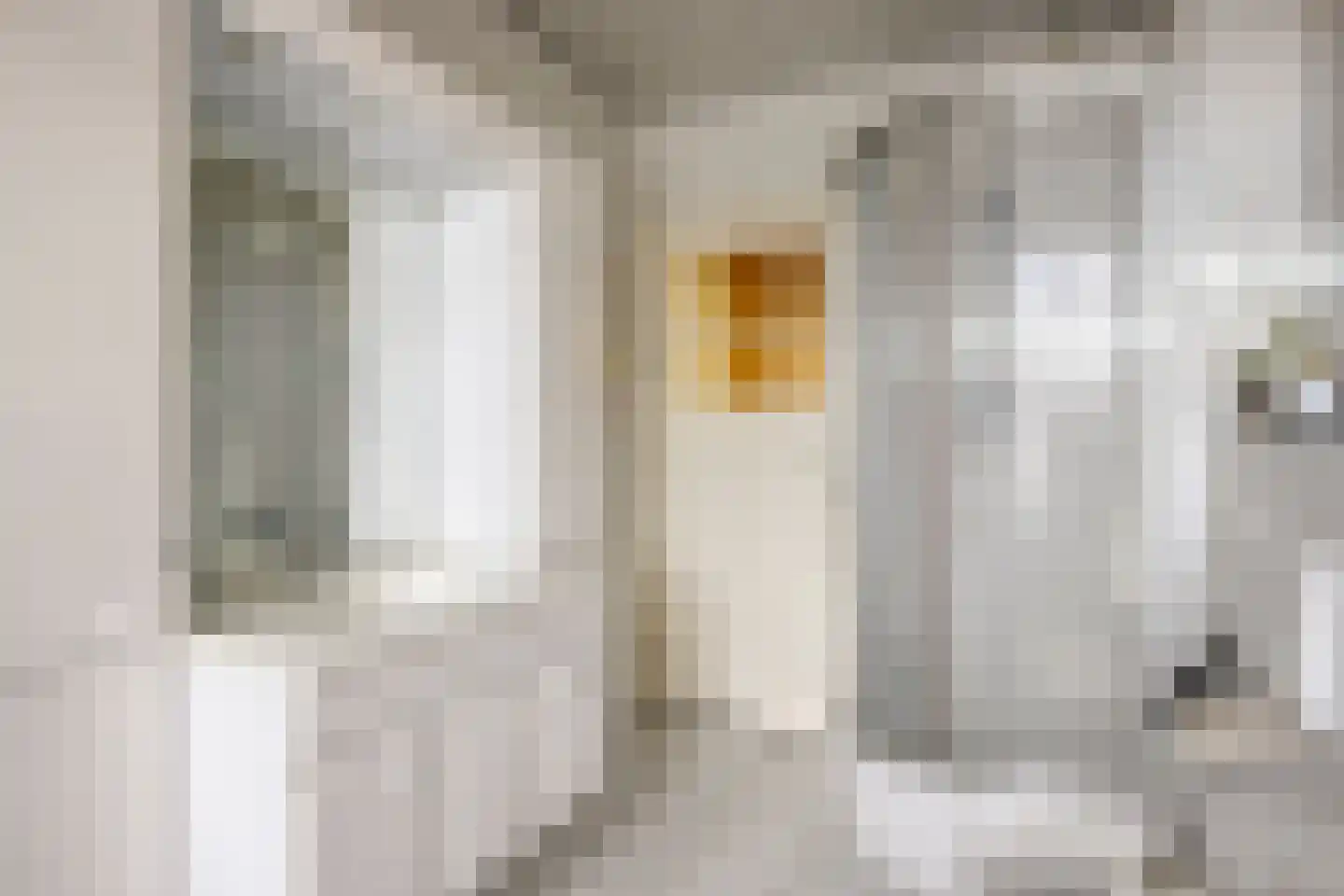 Vrouwemadestraat 20 Roosendaal thumbnail 25
