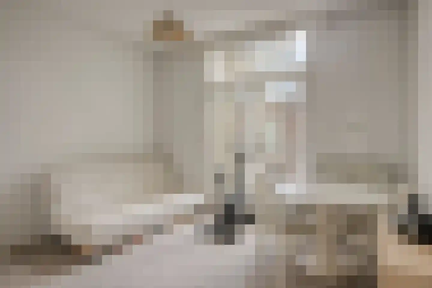 Vrouwemadestraat 20 Roosendaal thumbnail 26