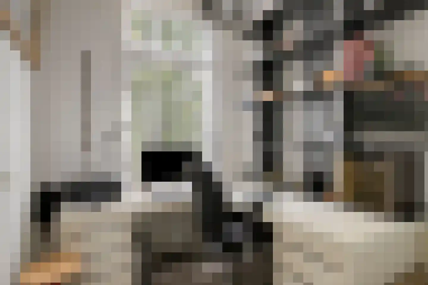 Vrouwemadestraat 20 Roosendaal thumbnail 29