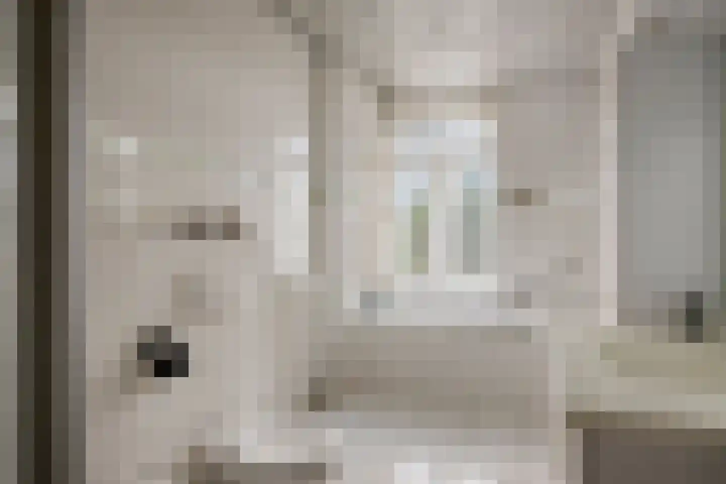 Vrouwemadestraat 20 Roosendaal thumbnail 30