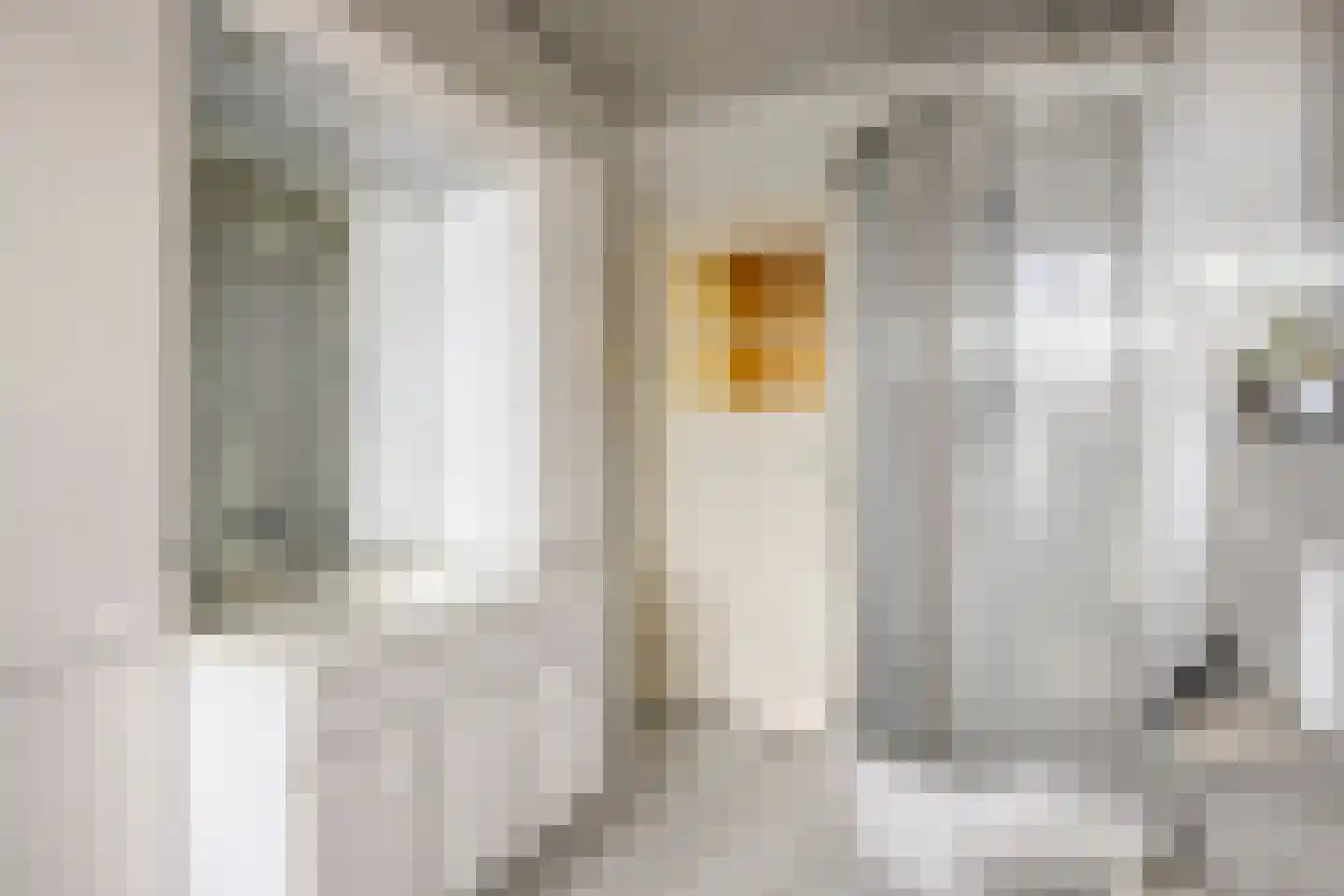 Vrouwemadestraat 20 Roosendaal thumbnail 31