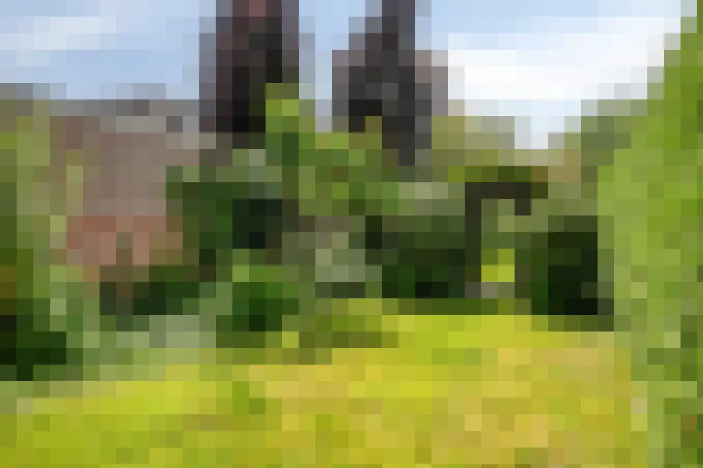 Vrouwemadestraat 20 Roosendaal thumbnail 35