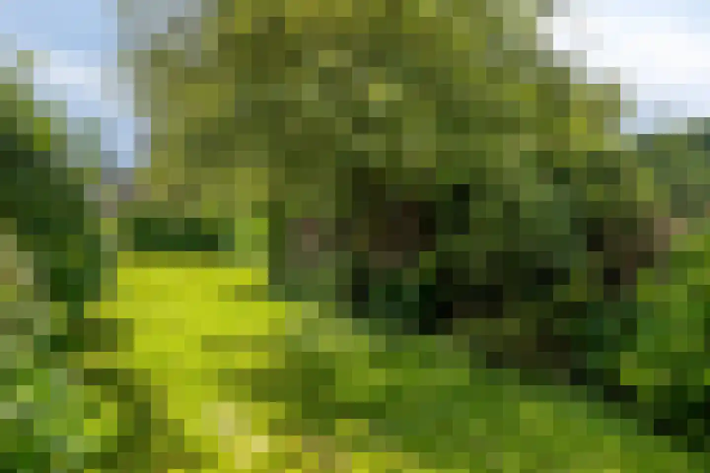 Vrouwemadestraat 20 Roosendaal thumbnail 37
