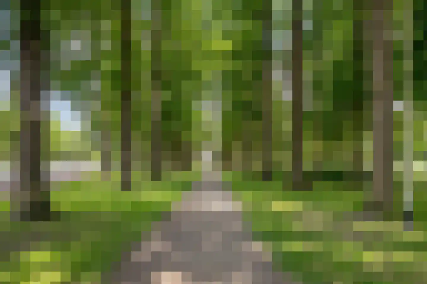 Vrouwemadestraat 20 Roosendaal thumbnail 41