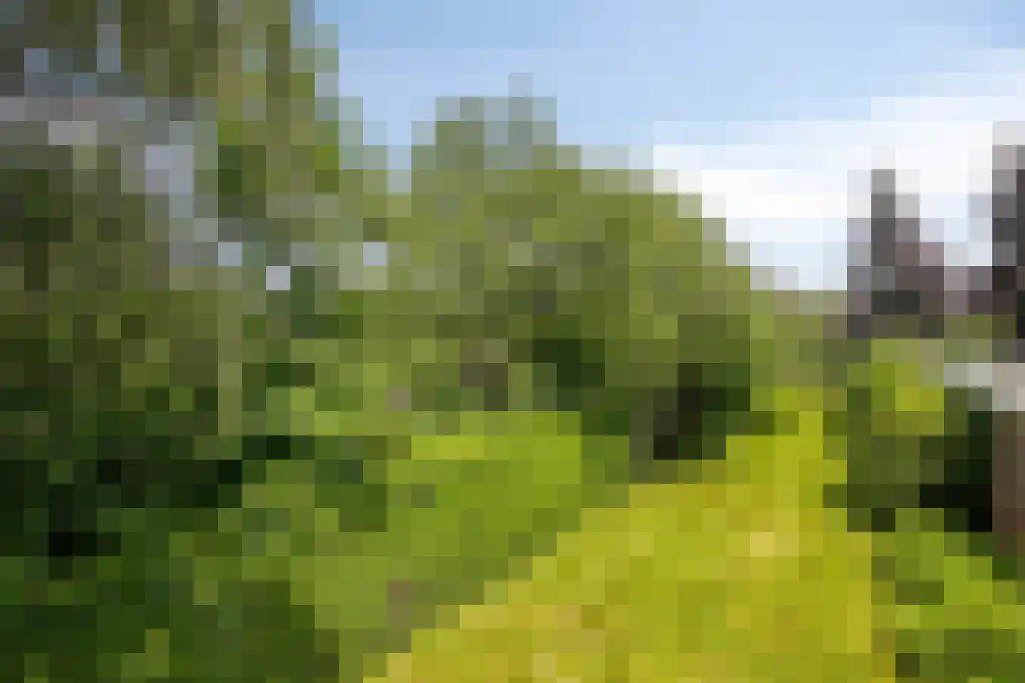 Vrouwemadestraat 20 Roosendaal thumbnail 43