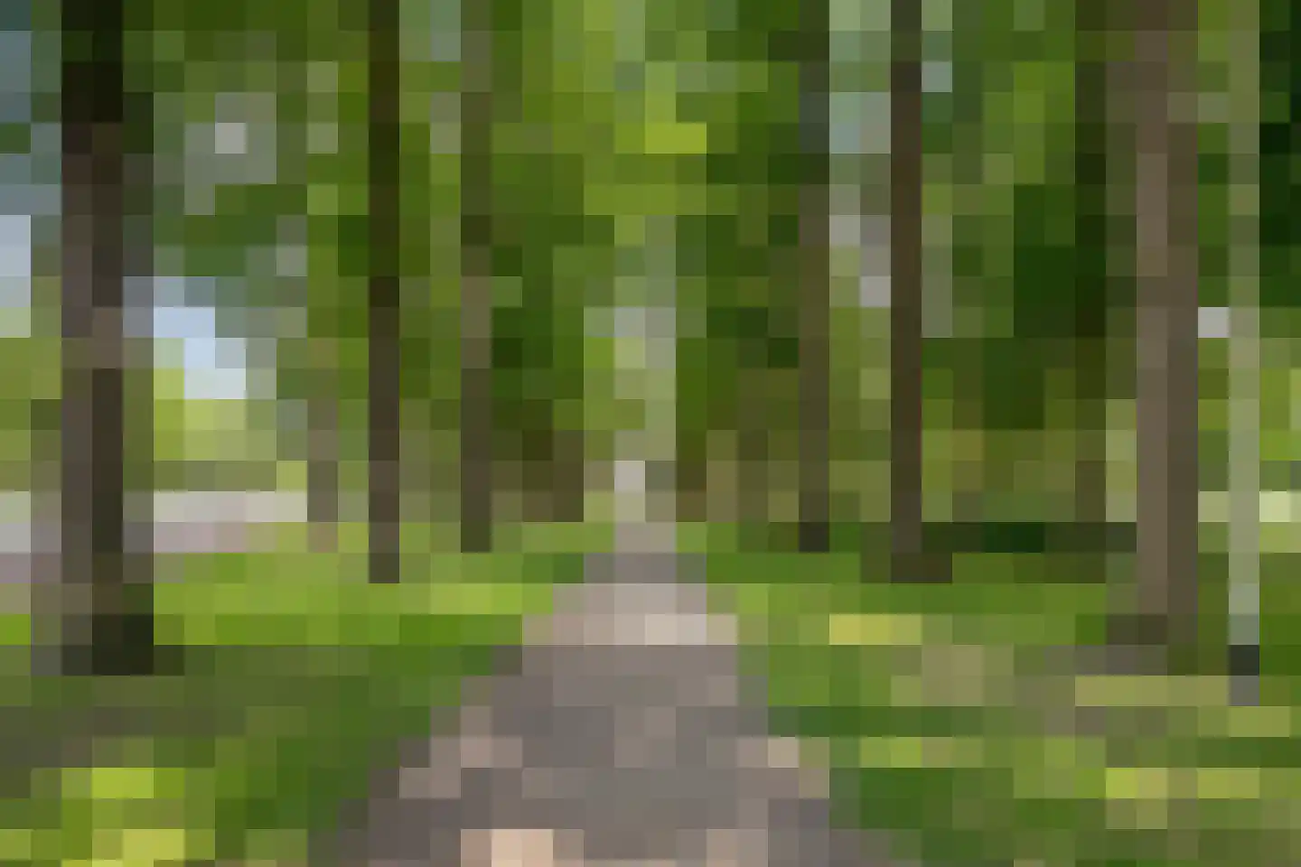 Vrouwemadestraat 20 Roosendaal thumbnail 47