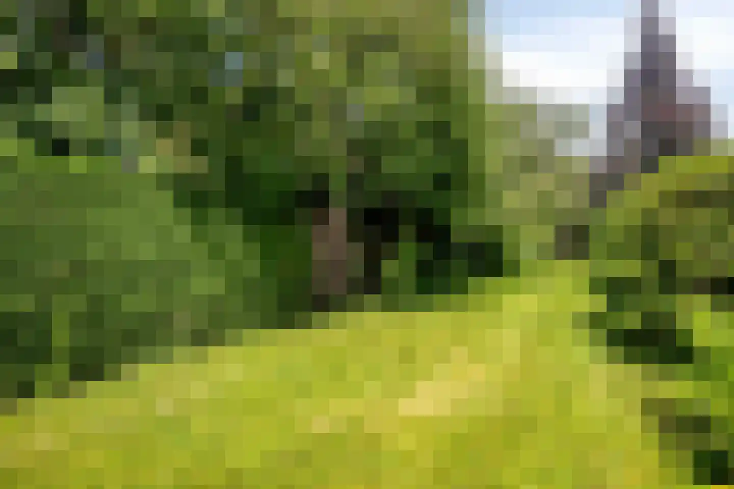 Vrouwemadestraat 20 Roosendaal thumbnail 6