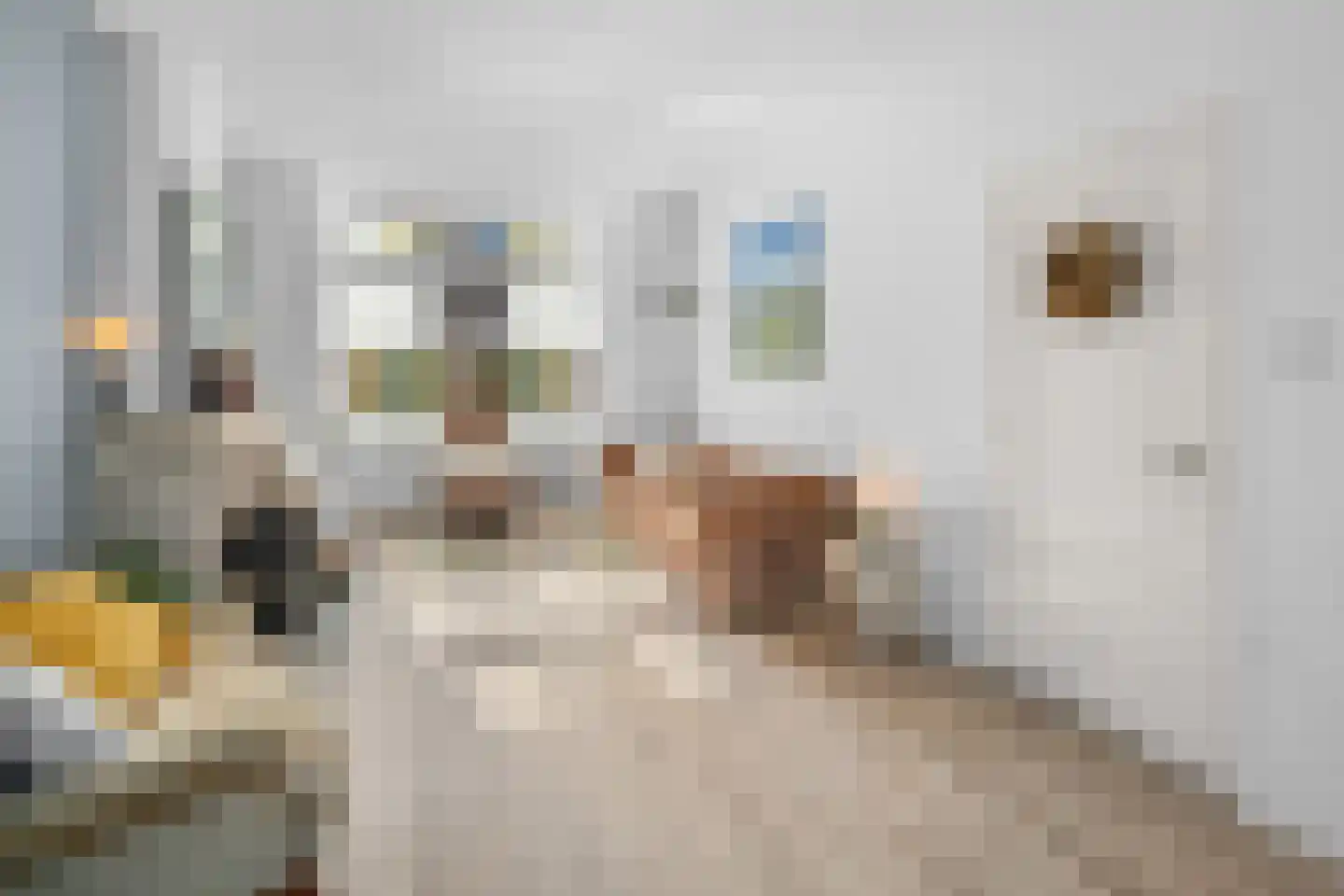 Vrouwemadestraat 24 Roosendaal thumbnail 10