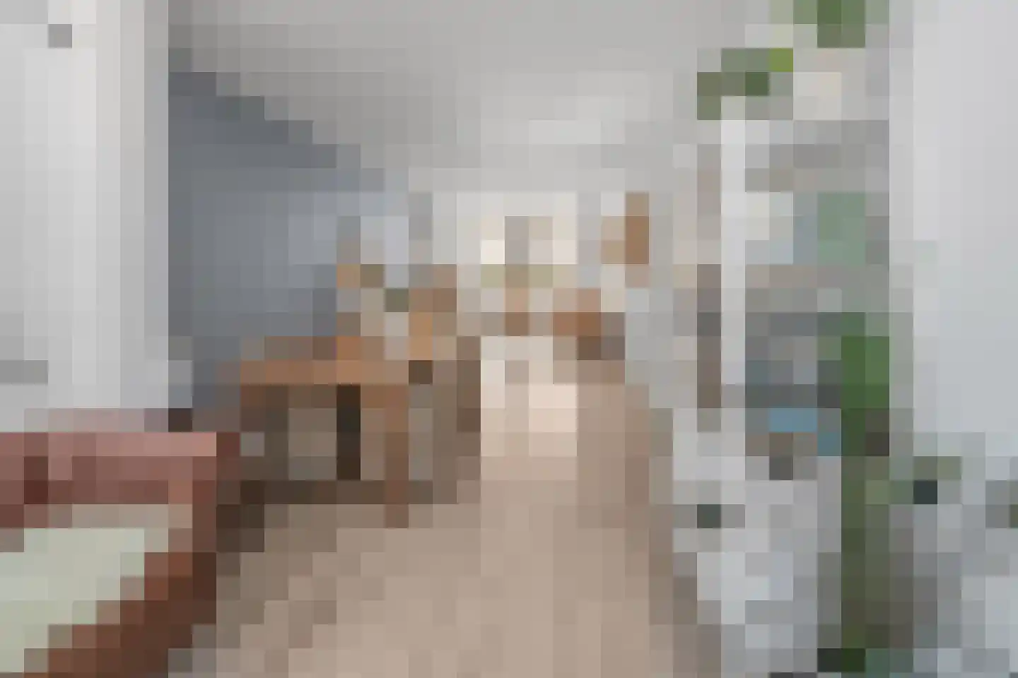Vrouwemadestraat 24 Roosendaal thumbnail 14