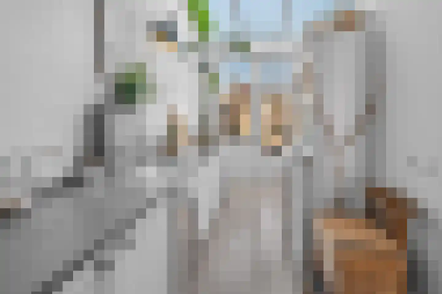 Vrouwemadestraat 24 Roosendaal thumbnail 17