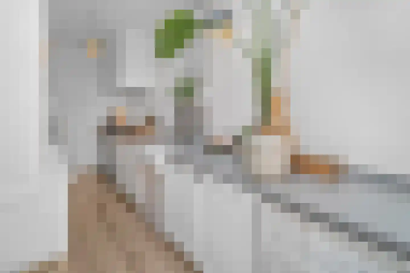 Vrouwemadestraat 24 Roosendaal thumbnail 18