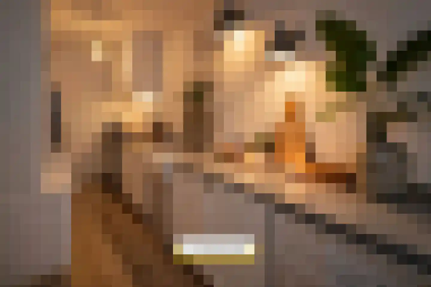 Vrouwemadestraat 24 Roosendaal thumbnail 19