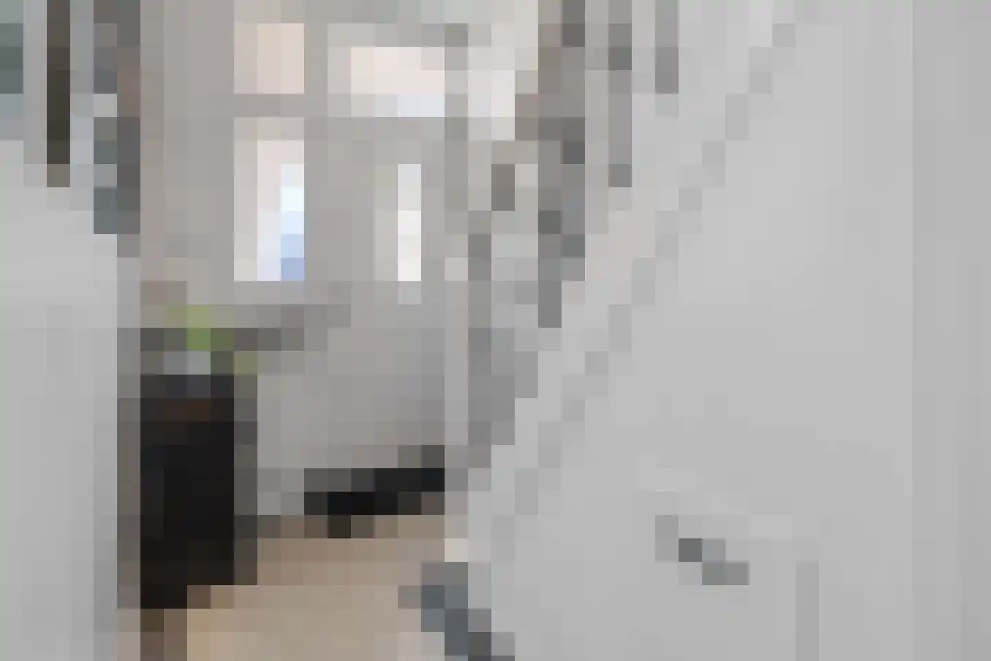 Vrouwemadestraat 24 Roosendaal thumbnail 21