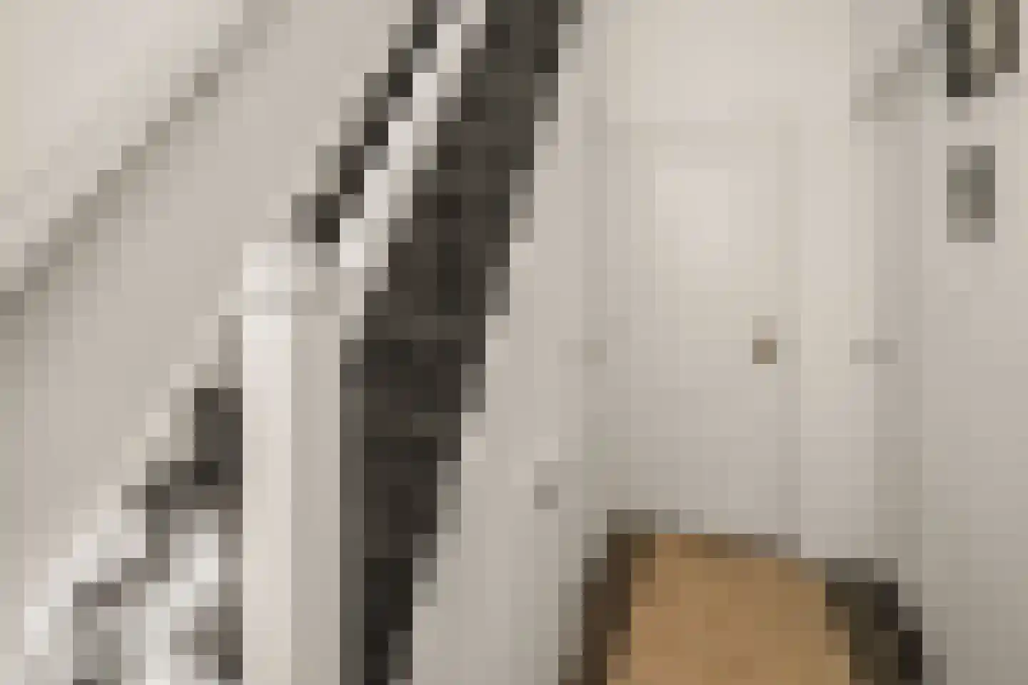 Vrouwemadestraat 24 Roosendaal thumbnail 23
