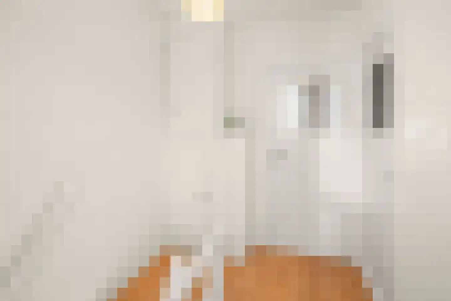 Vrouwemadestraat 24 Roosendaal thumbnail 24