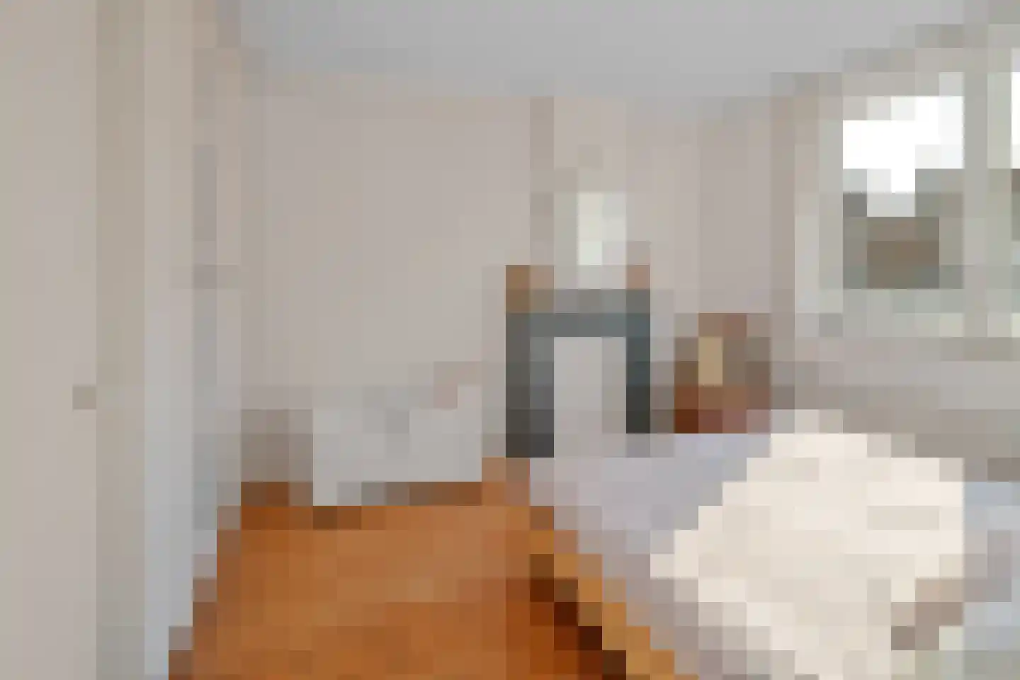 Vrouwemadestraat 24 Roosendaal thumbnail 25