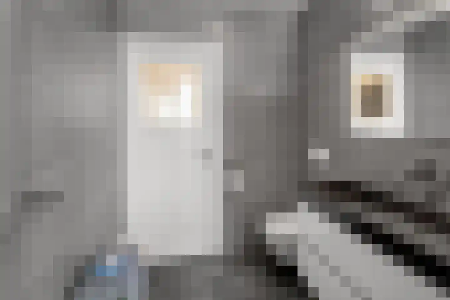 Vrouwemadestraat 24 Roosendaal thumbnail 28