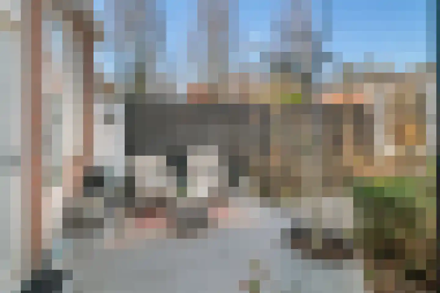 Vrouwemadestraat 24 Roosendaal thumbnail 36