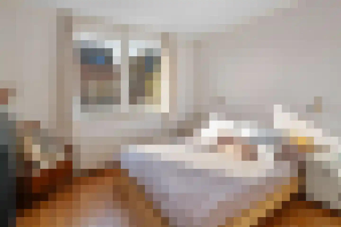 Vrouwemadestraat 24 Roosendaal thumbnail 4