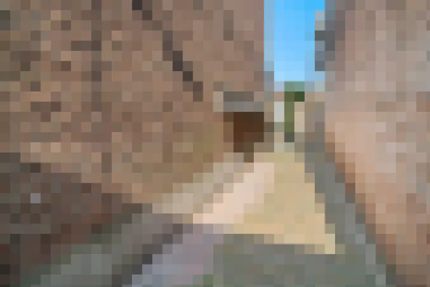 Vrouwemadestraat 24 Roosendaal thumbnail 40