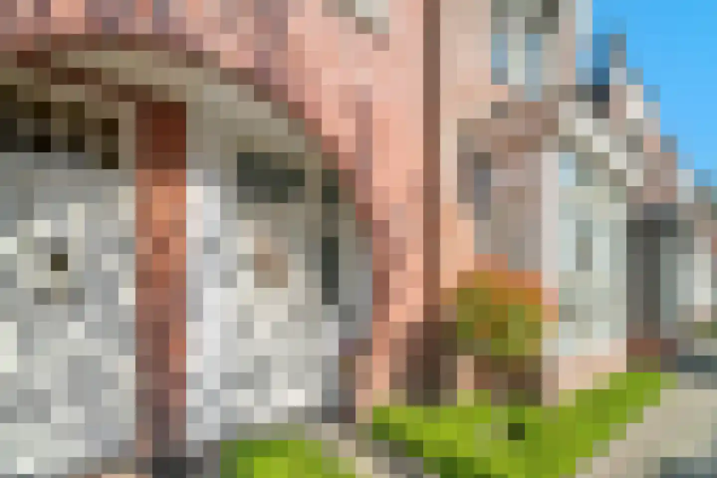 Vrouwemadestraat 24 Roosendaal thumbnail 42